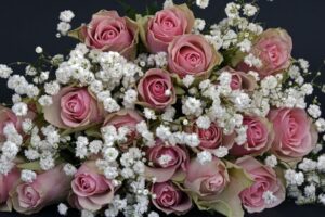 monthly flower subscriptions